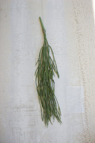 Draping greenery stem