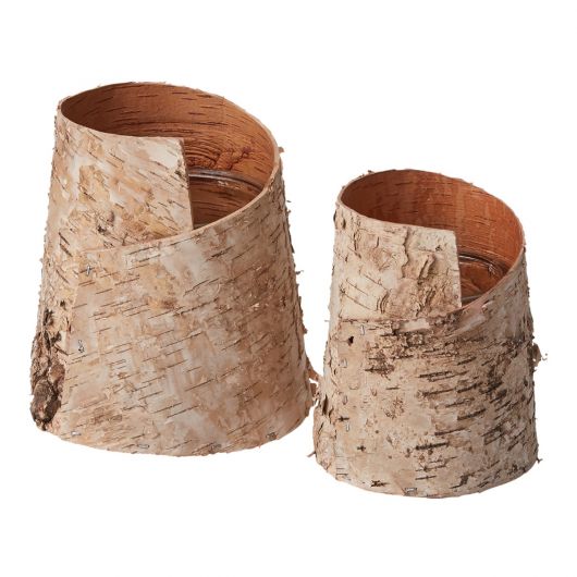 Natural Birch Wood Vase