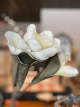 Graceful magnolia stem