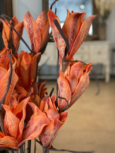 Flaming botanical stem