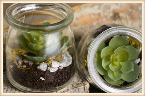 Succulent Jar
