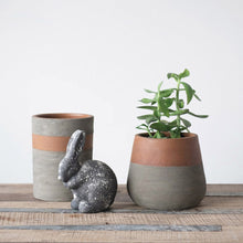 Two Tone Terra Cotta planter